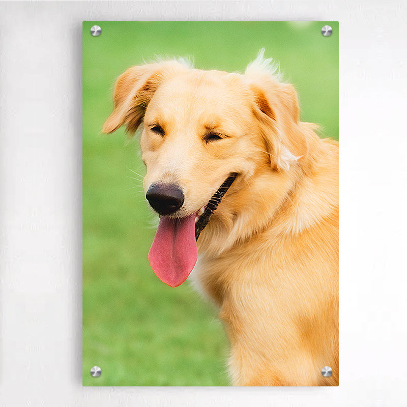 Custom dog picture frame best sale